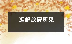 逛解放碑所見(jiàn)