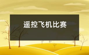 遙控飛機(jī)比賽