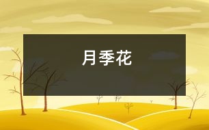 月季花