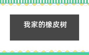 我家的橡皮樹