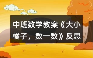 中班數(shù)學(xué)教案《大小橘子，數(shù)一數(shù)》反思