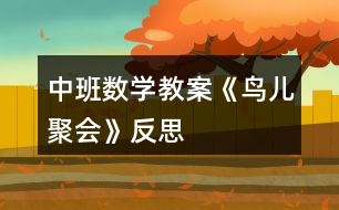 中班數學教案《鳥兒聚會》反思