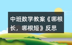 中班數(shù)學(xué)教案《哪根長(zhǎng)，哪根短》反思