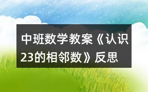 中班數(shù)學(xué)教案《認(rèn)識2、3的相鄰數(shù)》反思