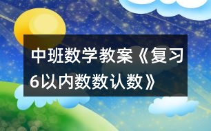 中班數(shù)學(xué)教案《復(fù)習(xí)6以?xún)?nèi)數(shù)數(shù)、認(rèn)數(shù)》反思