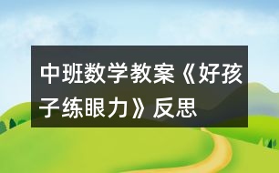 中班數(shù)學教案《好孩子練眼力》反思