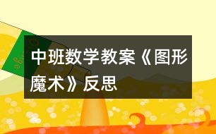 中班數(shù)學(xué)教案《圖形魔術(shù)》反思