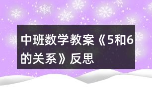 中班數(shù)學教案《5和6的關(guān)系》反思