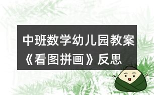 中班數(shù)學(xué)幼兒園教案《看圖拼畫(huà)》反思