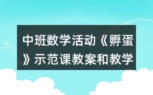 中班數(shù)學(xué)活動(dòng)《孵蛋》示范課教案和教學(xué)反思