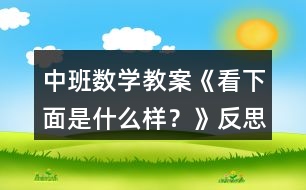 中班數(shù)學(xué)教案《看下面是什么樣？》反思
