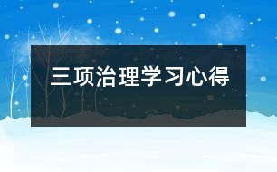 三項(xiàng)治理學(xué)習(xí)心得