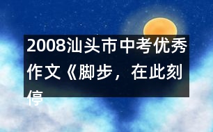 2008汕頭市中考優(yōu)秀作文《腳步，在此刻停住》