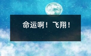 命運(yùn)??！飛翔！