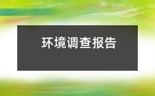 環(huán)境調(diào)查報告
