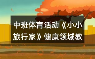 中班體育活動《小小旅行家》健康領域教案反思