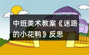 中班美術(shù)教案《迷路的小花鴨》反思