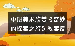 中班美術欣賞《奇妙的探索之旅》教案反思
