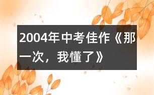 2004年中考佳作《那一次，我懂了》
