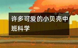 許多可愛(ài)的小貝殼（中班科學(xué)）