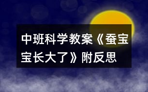 中班科學(xué)教案《蠶寶寶長(zhǎng)大了》附反思