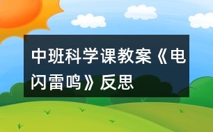 中班科學課教案《電閃雷鳴》反思