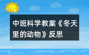 中班科學教案《冬天里的動物》反思