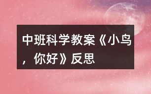 中班科學教案《小鳥，你好》反思