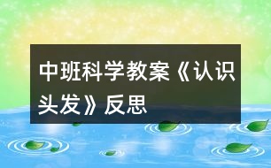 中班科學教案《認識頭發(fā)》反思