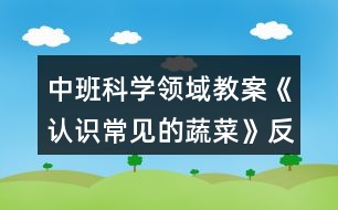 中班科學(xué)領(lǐng)域教案《認(rèn)識(shí)常見(jiàn)的蔬菜》反思