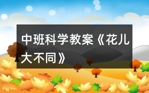 中班科學教案《花兒大不同》