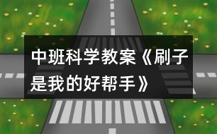 中班科學教案《刷子是我的好幫手》