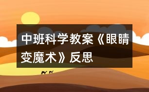 中班科學教案《眼睛變魔術(shù)》反思