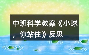 中班科學(xué)教案《小球，你站住》反思