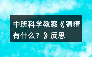 中班科學(xué)教案《猜猜有什么？》反思
