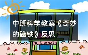 中班科學教案《奇妙的磁鐵》反思