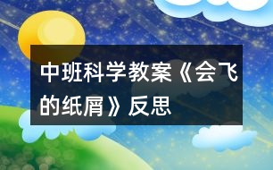 中班科學(xué)教案《會飛的紙屑》反思