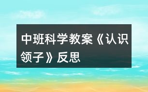 中班科學(xué)教案《認識領(lǐng)子》反思