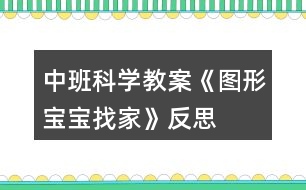 中班科學教案《圖形寶寶找家》反思