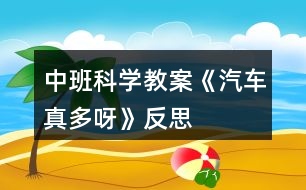 中班科學教案《汽車真多呀》反思