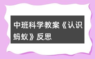 中班科學(xué)教案《認識螞蟻》反思