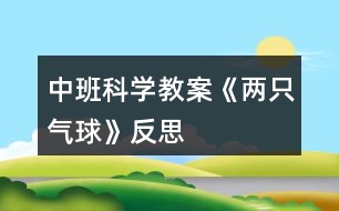 中班科學教案《兩只氣球》反思