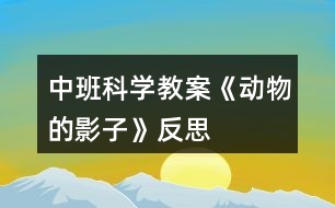 中班科學(xué)教案《動(dòng)物的影子》反思