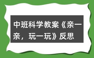 中班科學(xué)教案《親一親，玩一玩》反思