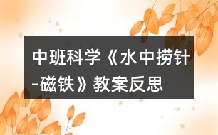 中班科學《水中撈針-磁鐵》教案反思