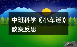 中班科學《小車迷》教案反思