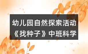 幼兒園自然探索活動《找種子》中班科學教案反思