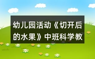 幼兒園活動《切開后的水果》中班科學教案反思