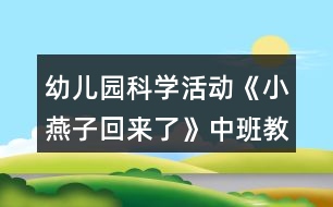 幼兒園科學(xué)活動(dòng)《小燕子回來(lái)了》中班教案