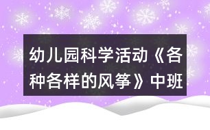 幼兒園科學(xué)活動《各種各樣的風(fēng)箏》中班教案